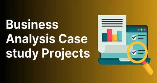 Business-Analysis-Case-study-Projects