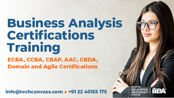 best business anylist training certification