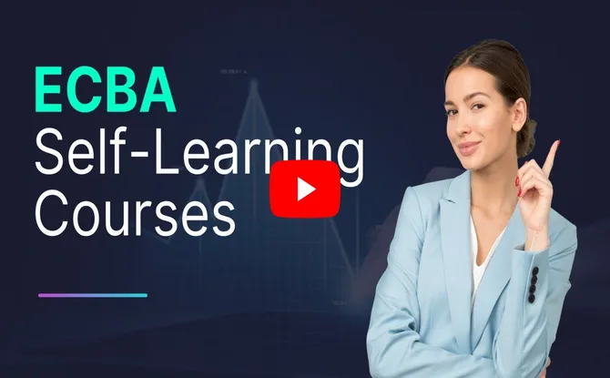 Business Analysis Self Learning Course