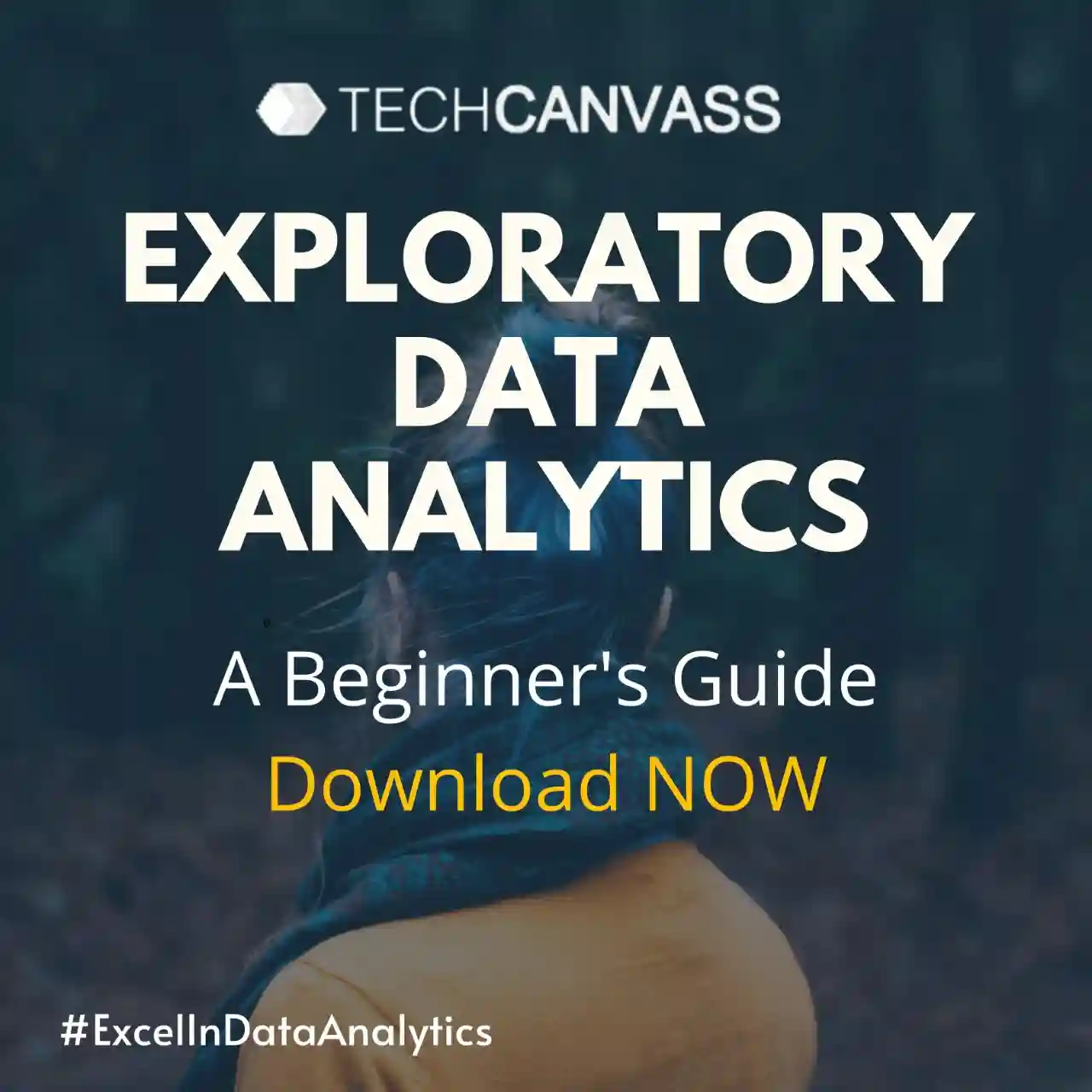 Excel Data Analysis Course By Techcanvass