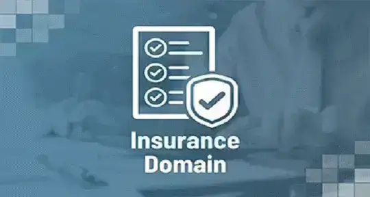 Insurance-Domain-Certification-Course