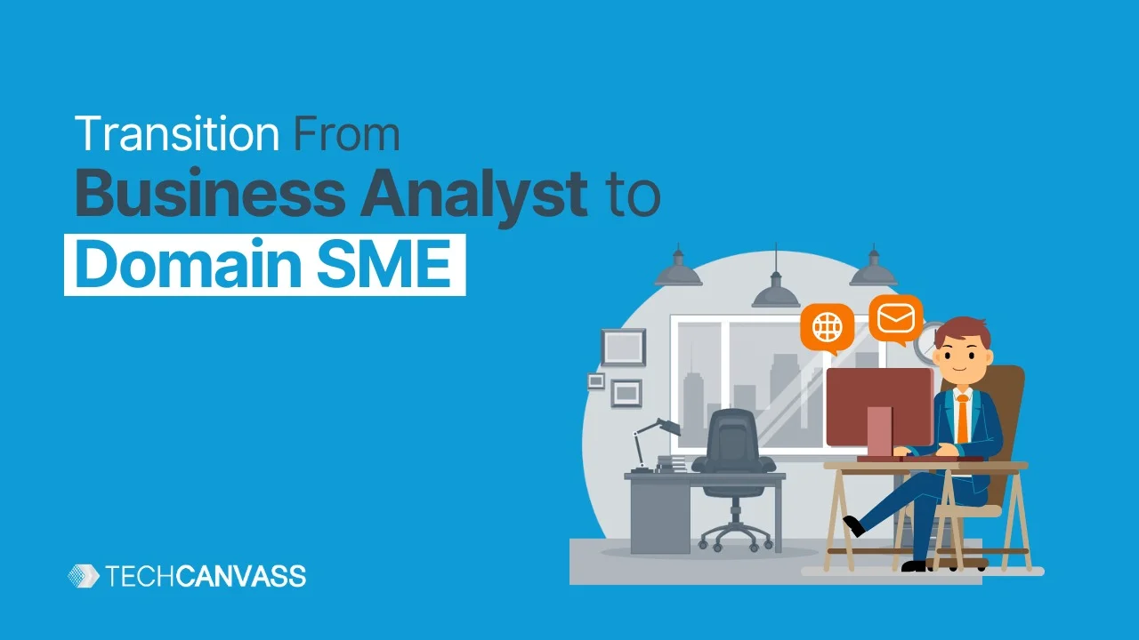 Moving from Business Analyst to Domain SME