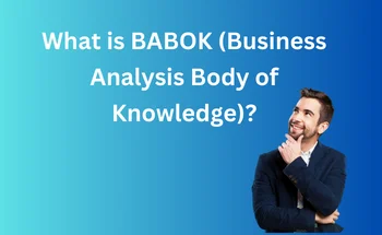 what-is-BABOK
