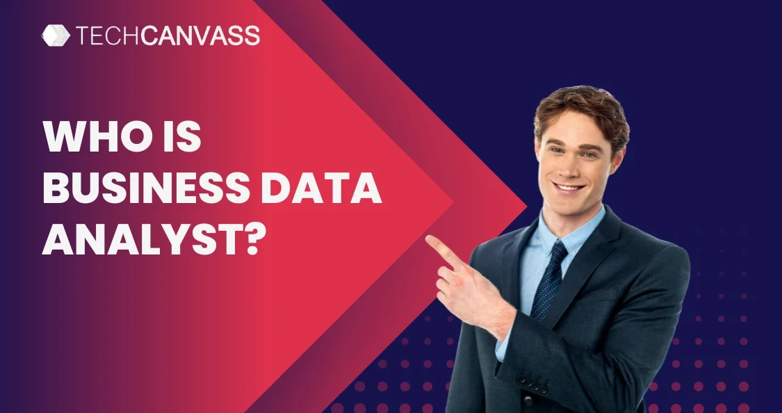 Who is a Business Data Analyst