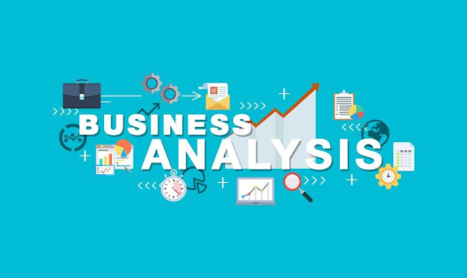 Business Analysis Body of Knowledge Guide