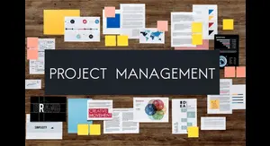 MS Project Training