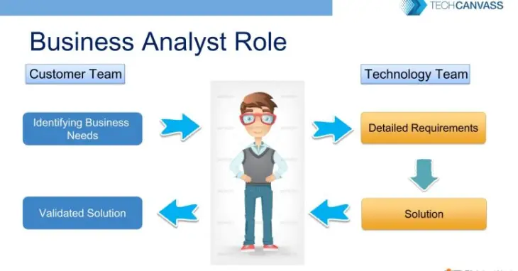 What Are The Roles And Responsibilities Of Business Analyst Techcanvass   Role BA.webp