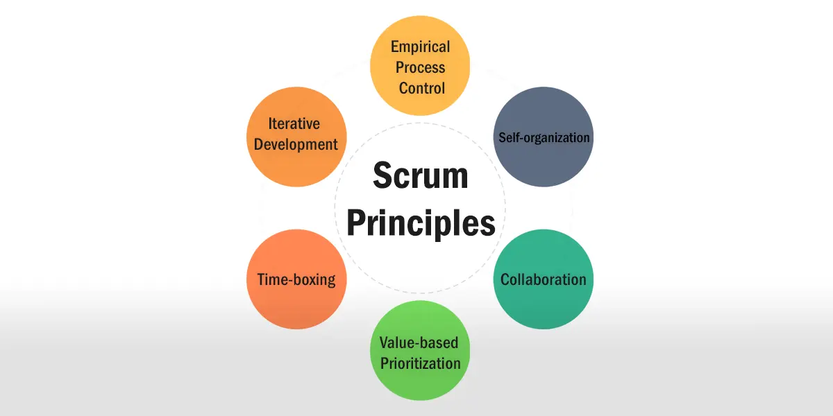 Scrum Principles