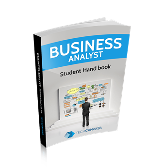 business analyst