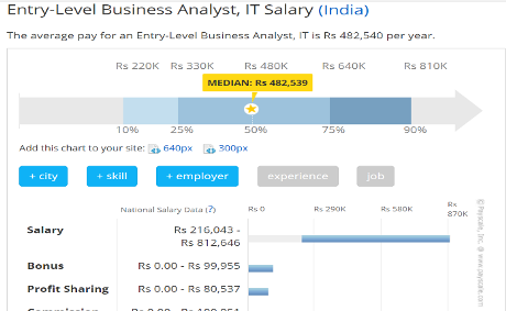 Business Analyst